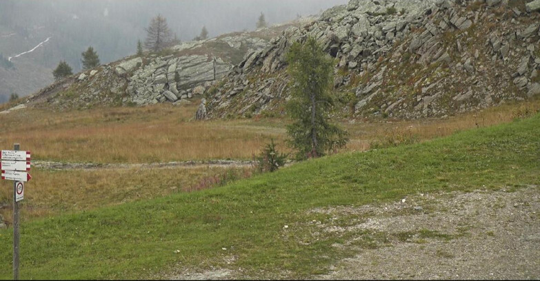 Webcam San Martino di Castrozza - Passo Rolle - Pista Tognola UNO