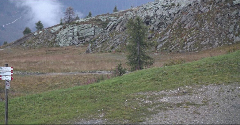 Webcam San Martino di Castrozza - Passo Rolle - Pista Tognola UNO