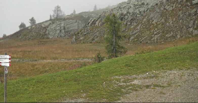 Webcam San Martino di Castrozza - Passo Rolle - Pista Tognola UNO