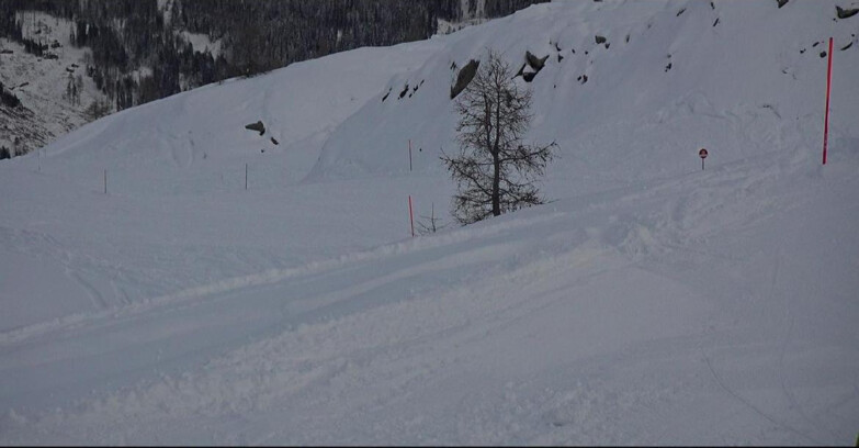 Webcam San Martino di Castrozza - Passo Rolle  - Pista Tognola UNO