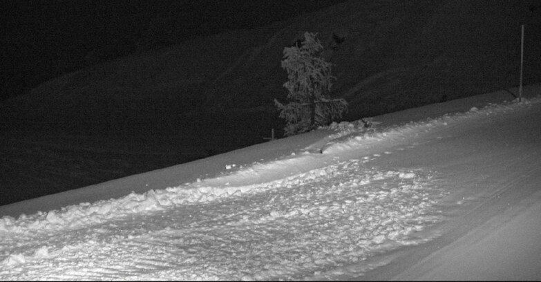 Webcam San Martino di Castrozza - Passo Rolle - Pista Tognola UNO