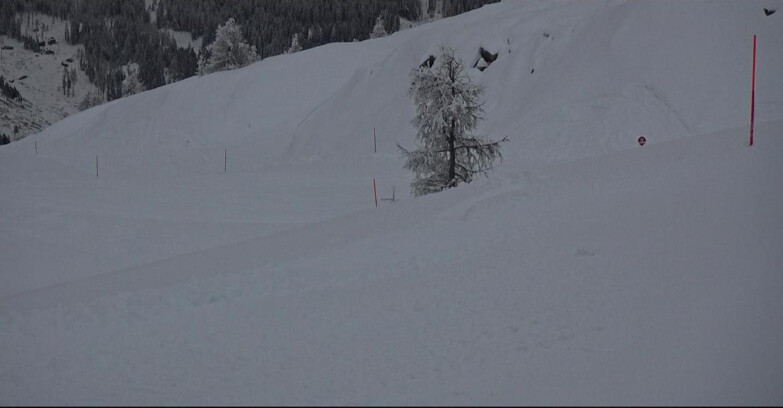 Webcam San Martino di Castrozza - Passo Rolle - Pista Tognola UNO