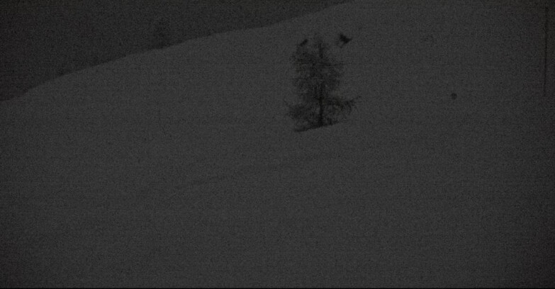 Webcam San Martino di Castrozza - Passo Rolle - Pista Tognola UNO