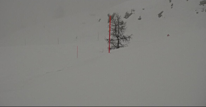Webcam San Martino di Castrozza - Passo Rolle - Pista Tognola UNO