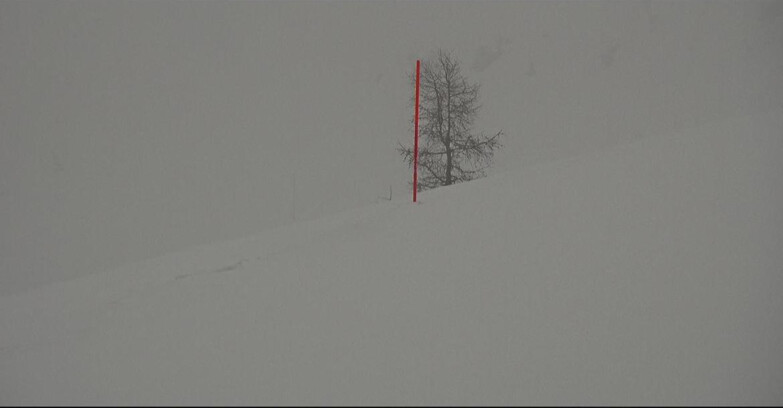 Webcam San Martino di Castrozza - Passo Rolle - Pista Tognola UNO