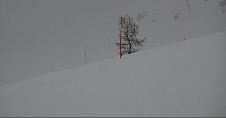 Webcam San Martino di Castrozza - Passo Rolle - Pista Tognola UNO