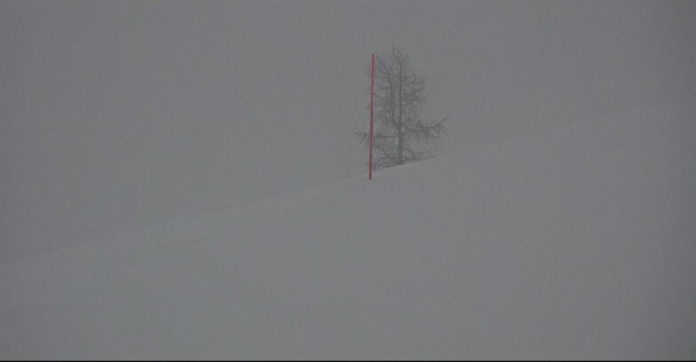 Webcam San Martino di Castrozza - Passo Rolle - Pista Tognola UNO