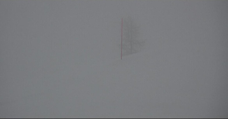 Webcam San Martino di Castrozza - Passo Rolle - Pista Tognola UNO