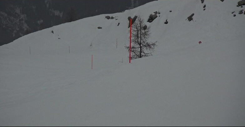 Webcam San Martino di Castrozza - Passo Rolle - Pista Tognola UNO