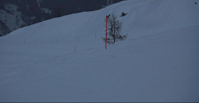 Webcam Сан-Мартино-ди-Кастроцца - Пассо-Ролле - Pista Tognola UNO