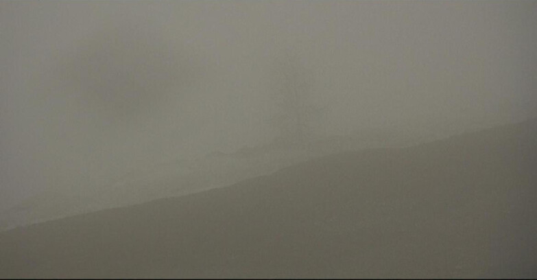 Webcam San Martino di Castrozza - Passo Rolle  - Pista Tognola UNO