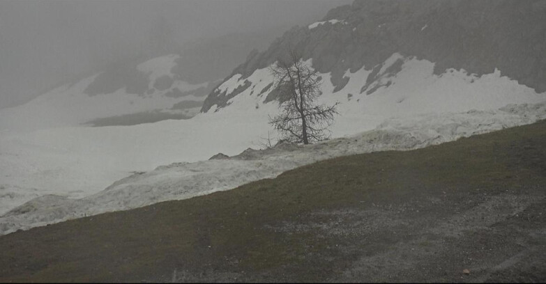 Webcam San Martino di Castrozza - Passo Rolle  - Pista Tognola UNO