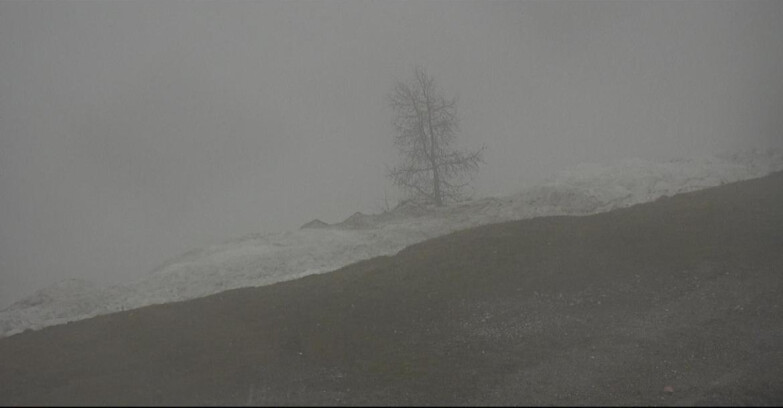 Webcam San Martino di Castrozza - Passo Rolle  - Pista Tognola UNO