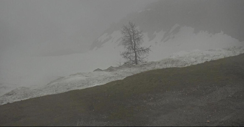 Webcam San Martino di Castrozza - Passo Rolle  - Pista Tognola UNO