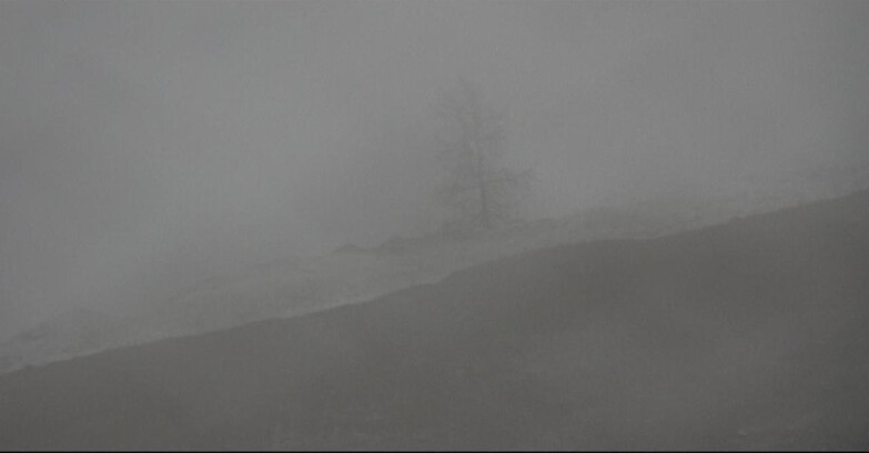 Webcam San Martino di Castrozza - Passo Rolle  - Pista Tognola UNO
