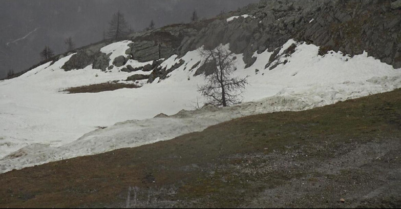 Webcam San Martino di Castrozza - Passo Rolle  - Pista Tognola UNO