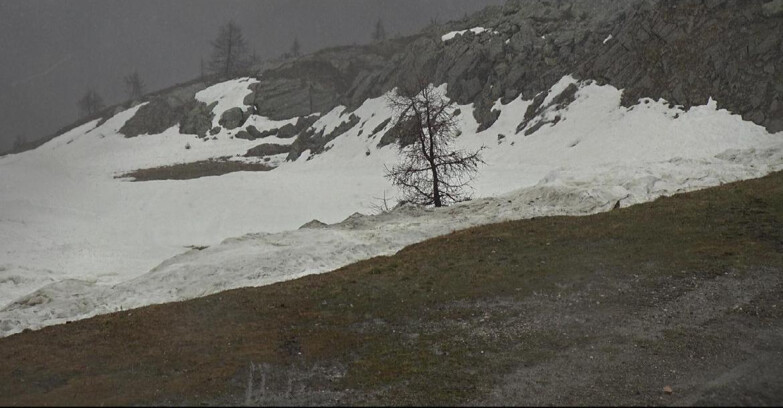 Webcam San Martino di Castrozza - Passo Rolle  - Pista Tognola UNO