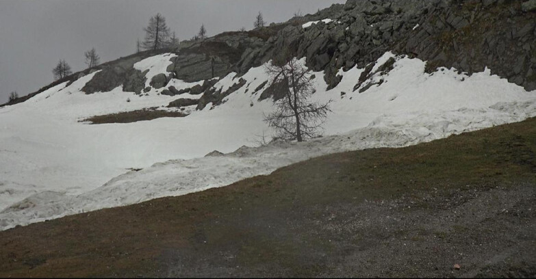 Webcam San Martino di Castrozza - Passo Rolle  - Pista Tognola UNO