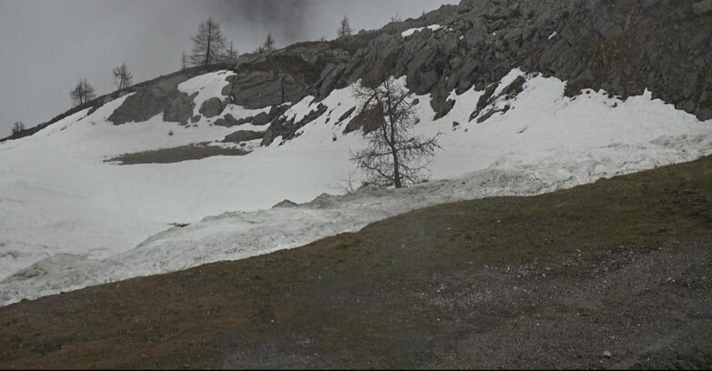 Webcam San Martino di Castrozza - Passo Rolle - Pista Tognola UNO