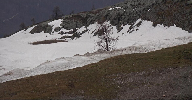 Webcam San Martino di Castrozza - Passo Rolle  - Pista Tognola UNO