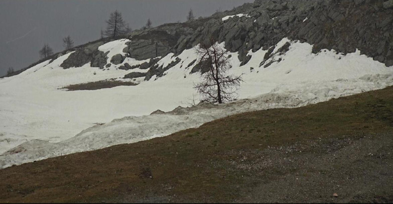 Webcam San Martino di Castrozza - Passo Rolle  - Pista Tognola UNO