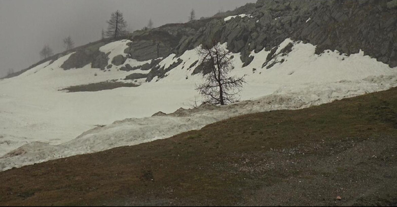 Webcam San Martino di Castrozza - Passo Rolle  - Pista Tognola UNO