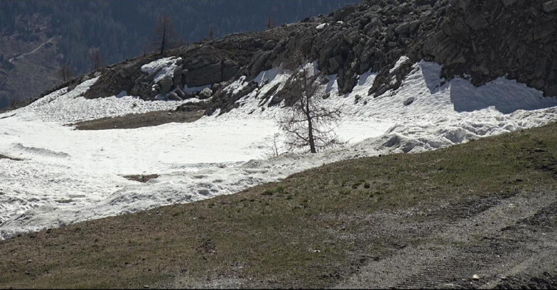 Webcam San Martino di Castrozza - Passo Rolle - Pista Tognola UNO