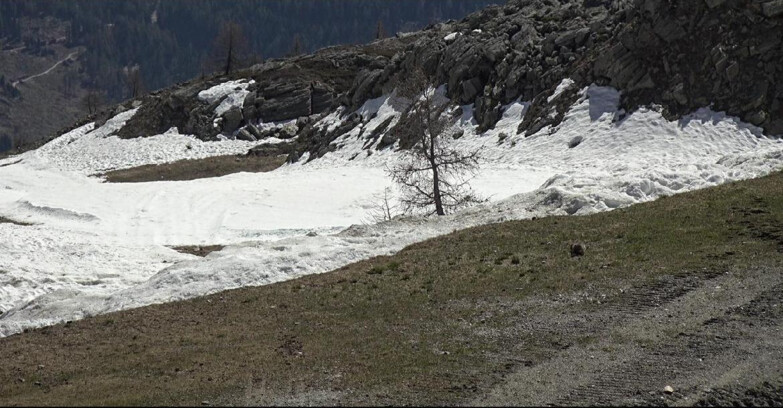 Webcam San Martino di Castrozza - Passo Rolle - Pista Tognola UNO