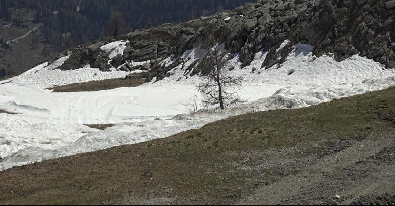 Webcam San Martino di Castrozza - Passo Rolle - Pista Tognola UNO