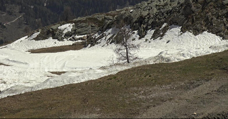 Webcam San Martino di Castrozza - Passo Rolle - Pista Tognola UNO
