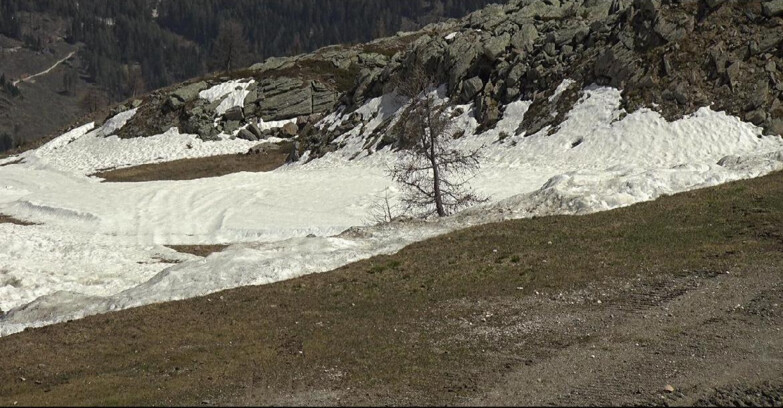 Webcam San Martino di Castrozza - Passo Rolle - Pista Tognola UNO