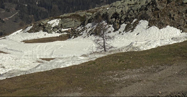 Webcam San Martino di Castrozza - Passo Rolle - Pista Tognola UNO