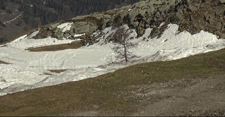 Webcam San Martino di Castrozza - Passo Rolle - Pista Tognola UNO