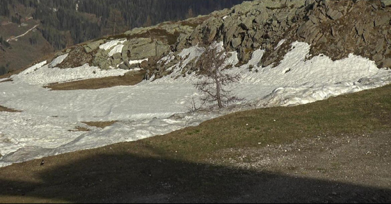 Webcam San Martino di Castrozza - Passo Rolle - Pista Tognola UNO