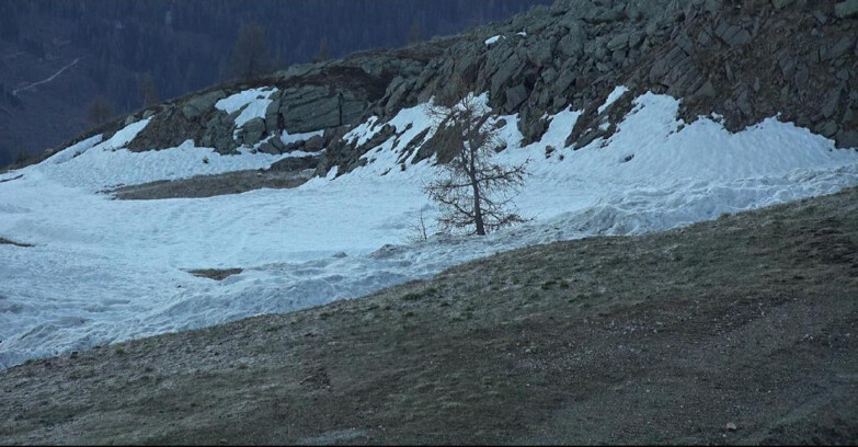 Webcam San Martino di Castrozza - Passo Rolle - Pista Tognola UNO