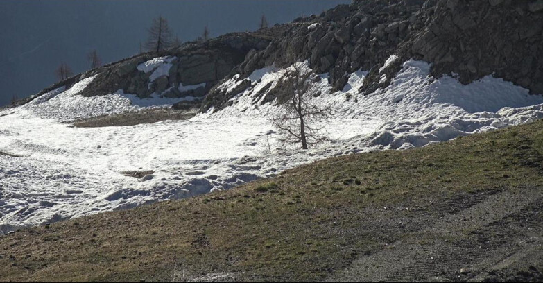 Webcam San Martino di Castrozza - Passo Rolle - Pista Tognola UNO