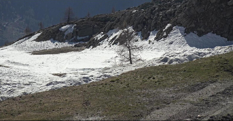 Webcam San Martino di Castrozza - Passo Rolle - Pista Tognola UNO