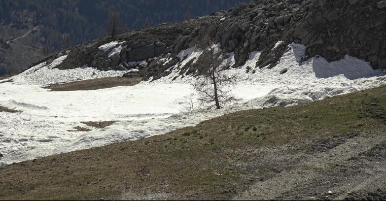 Webcam San Martino di Castrozza - Passo Rolle - Pista Tognola UNO