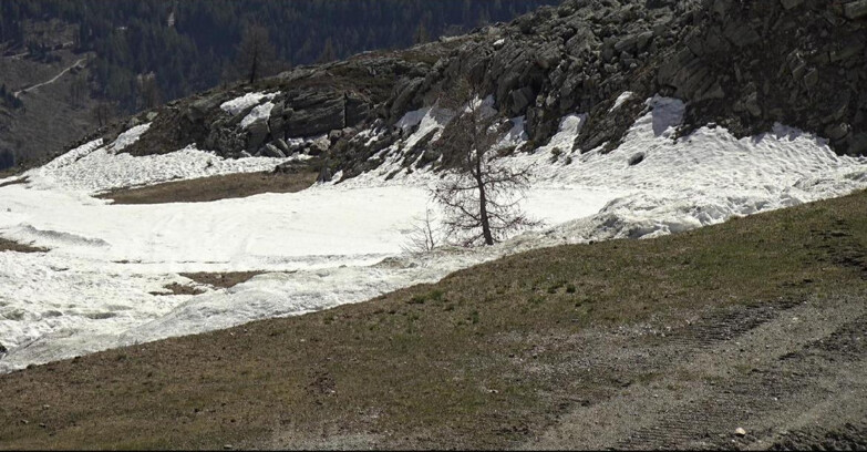 Webcam San Martino di Castrozza - Passo Rolle - Pista Tognola UNO