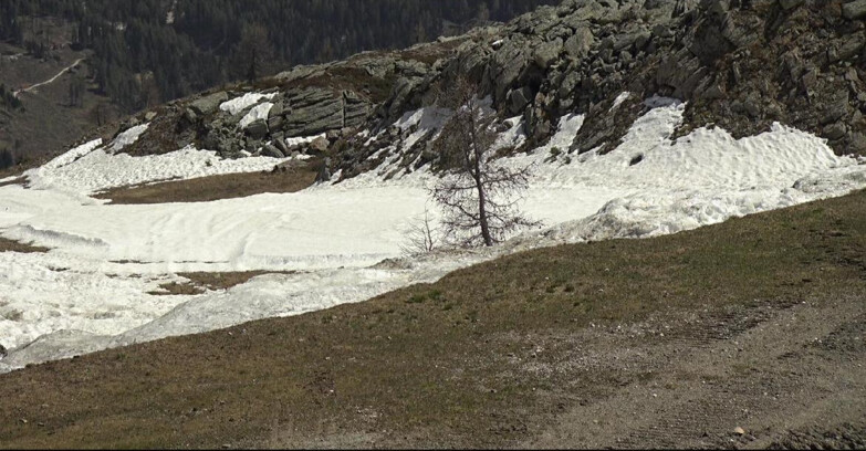 Webcam San Martino di Castrozza - Passo Rolle - Pista Tognola UNO