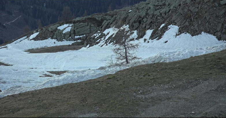 Webcam San Martino di Castrozza - Passo Rolle - Pista Tognola UNO