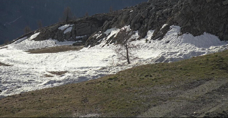 Webcam San Martino di Castrozza - Passo Rolle - Pista Tognola UNO