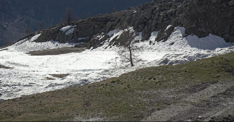 Webcam San Martino di Castrozza - Passo Rolle - Pista Tognola UNO