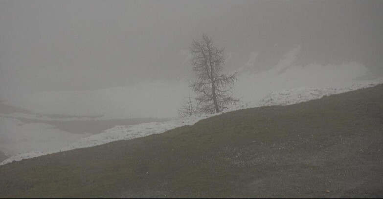Webcam San Martino di Castrozza - Passo Rolle - Pista Tognola UNO