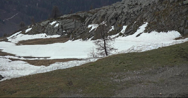 Webcam Сан-Мартино-ди-Кастроцца - Пассо-Ролле - Pista Tognola UNO