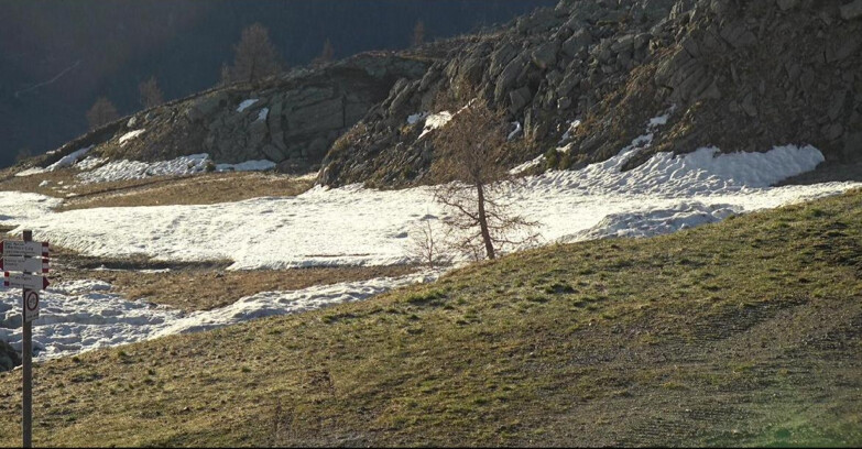 Webcam San Martino di Castrozza - Passo Rolle - Pista Tognola UNO