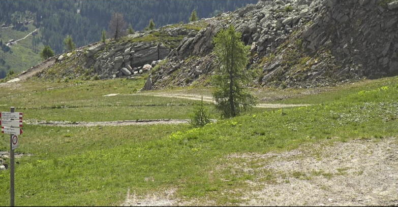Webcam San Martino di Castrozza - Passo Rolle  - Pista Tognola UNO