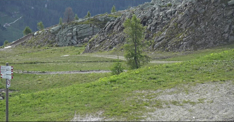 Webcam San Martino di Castrozza - Passo Rolle  - Pista Tognola UNO