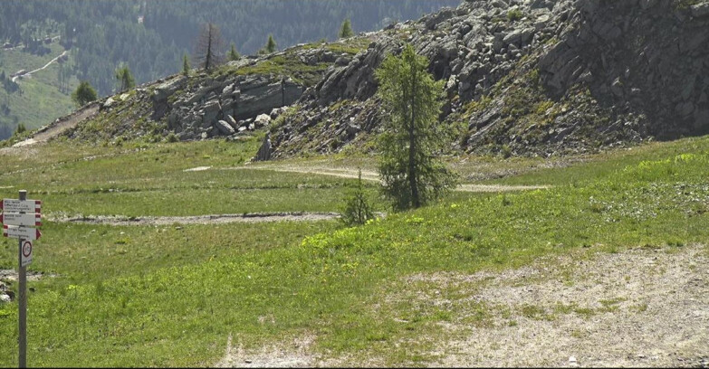 Webcam San Martino di Castrozza - Passo Rolle - Pista Tognola UNO