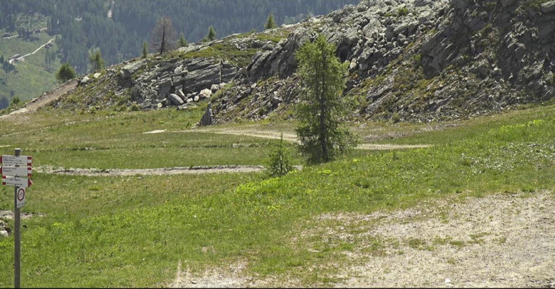 Webcam San Martino di Castrozza - Passo Rolle - Pista Tognola UNO